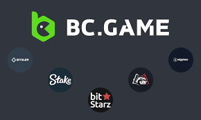 BC.GAME Gambling Establishment Testimonial